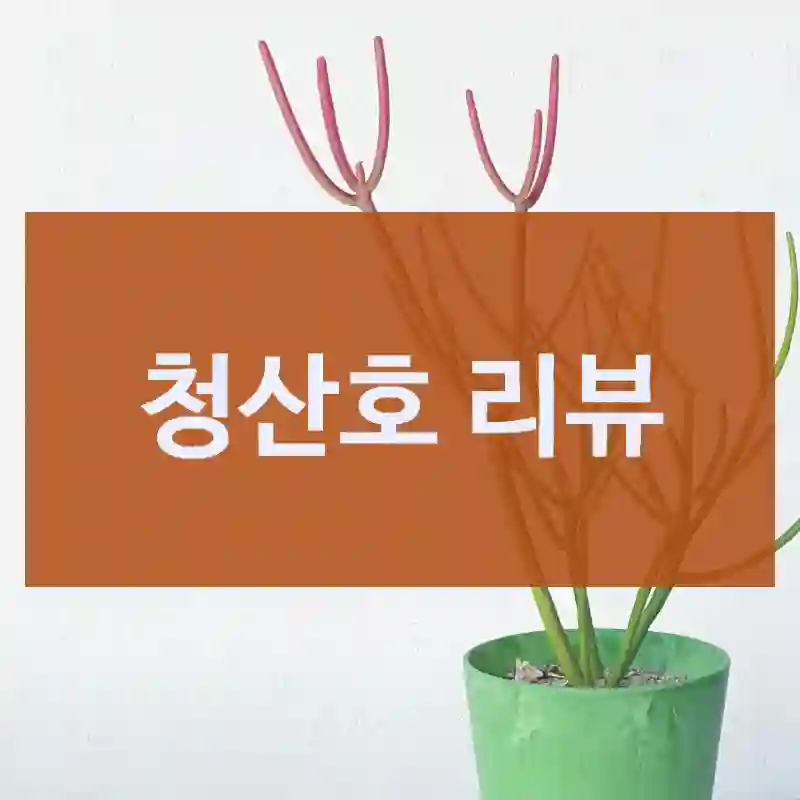 구매해도 좋을까? 청산호 비교 평가, 두왑플랜트 파티오라금