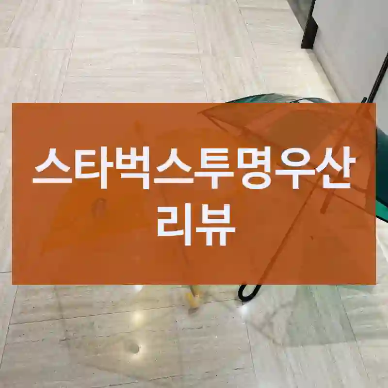 스타벅스투명우산 리뷰