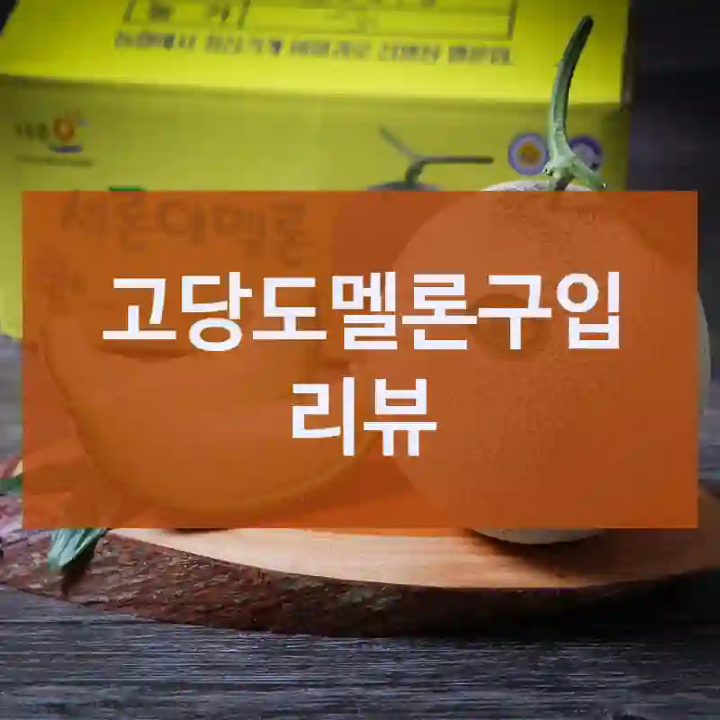 고당도멜론구입 리뷰