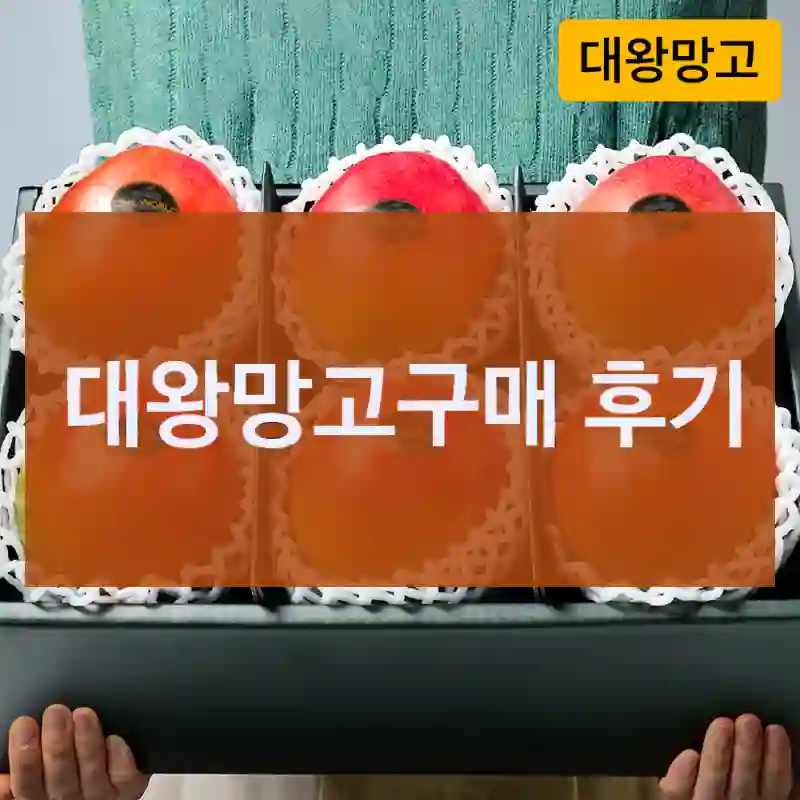 대왕망고구매 후기