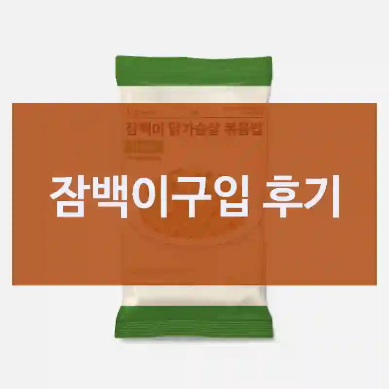 진짜 실화냐… 잠백이 체험 리뷰-다이어트식단