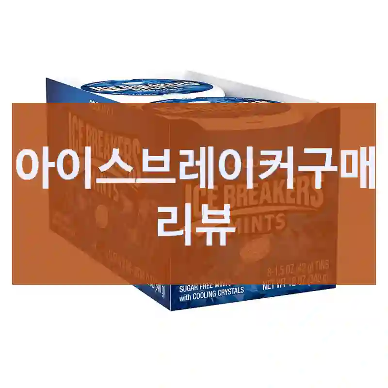 내돈내산  아이스브레이커, 리뷰와 느낀부분