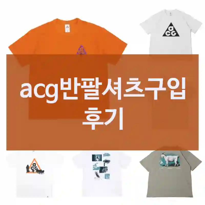 재구매 의사 있음! “acg반팔셔츠” 후기. 남성반팔티