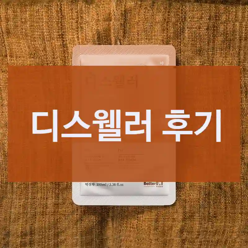 디스웰러 후기