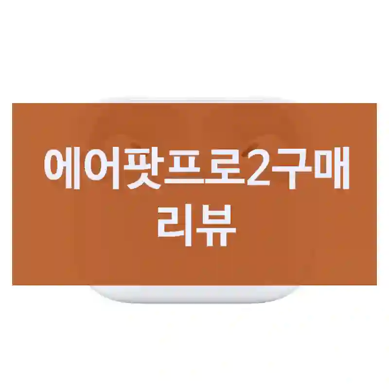 에어팟프로2구매 리뷰