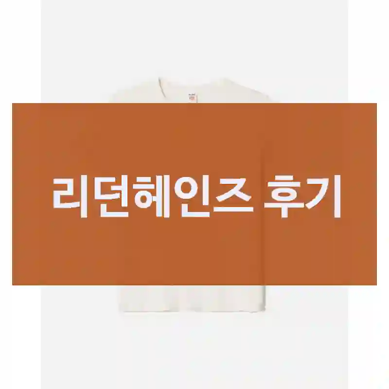 리던헤인즈 후기