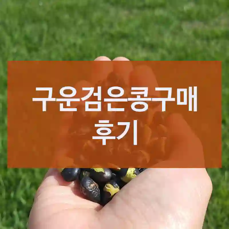 구운검은콩구매 후기