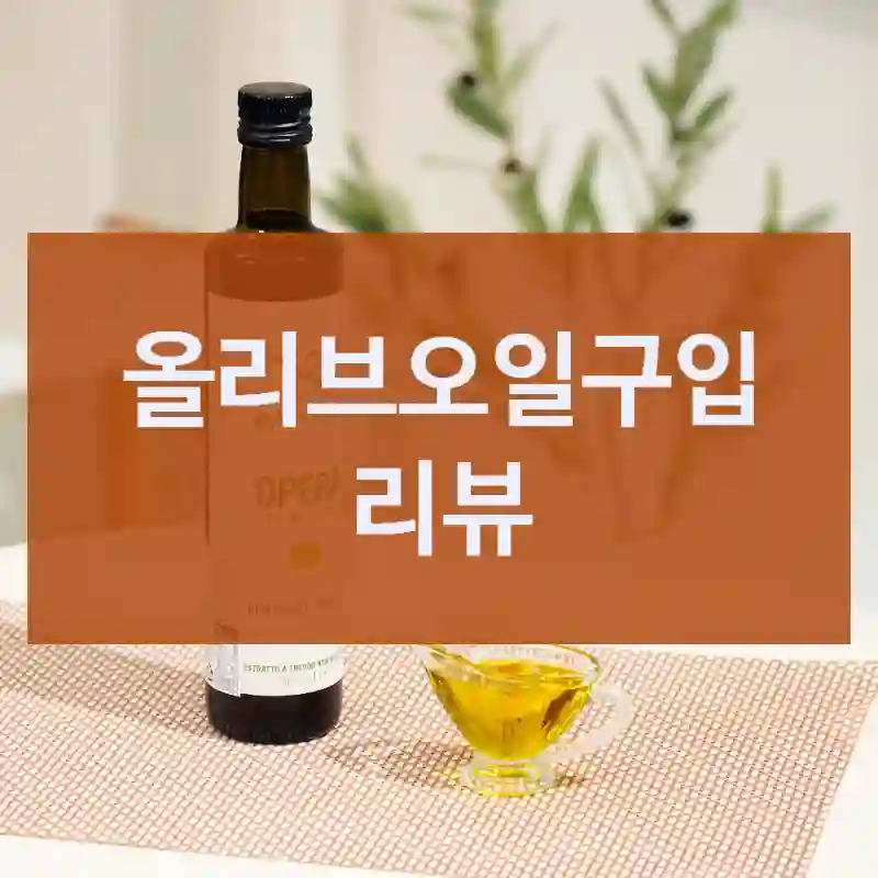 틱톡에서 난리 난 올리브오일, 체험기, 선물세트