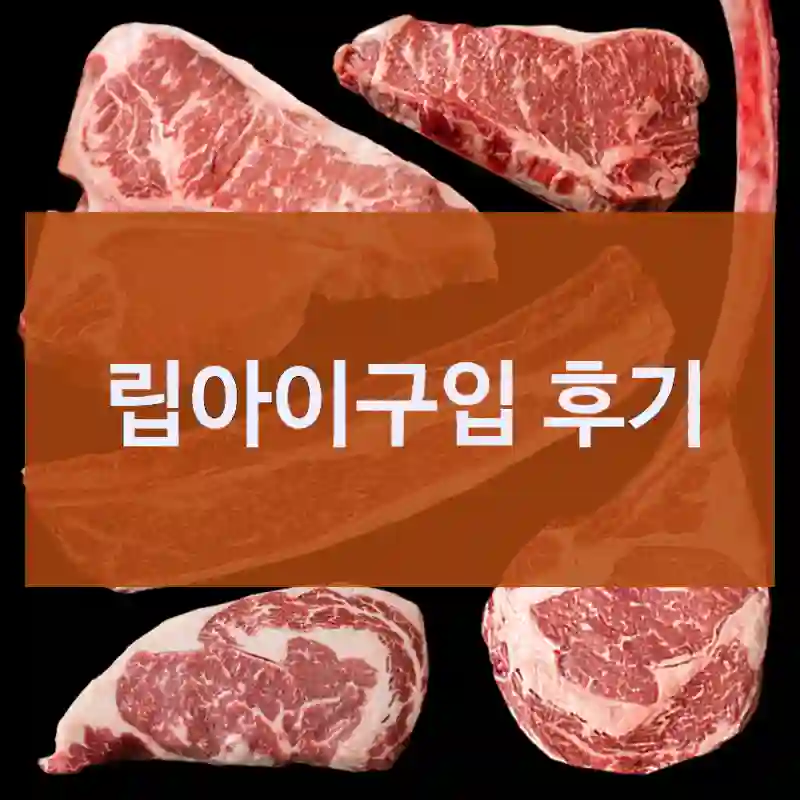 립아이구입 후기