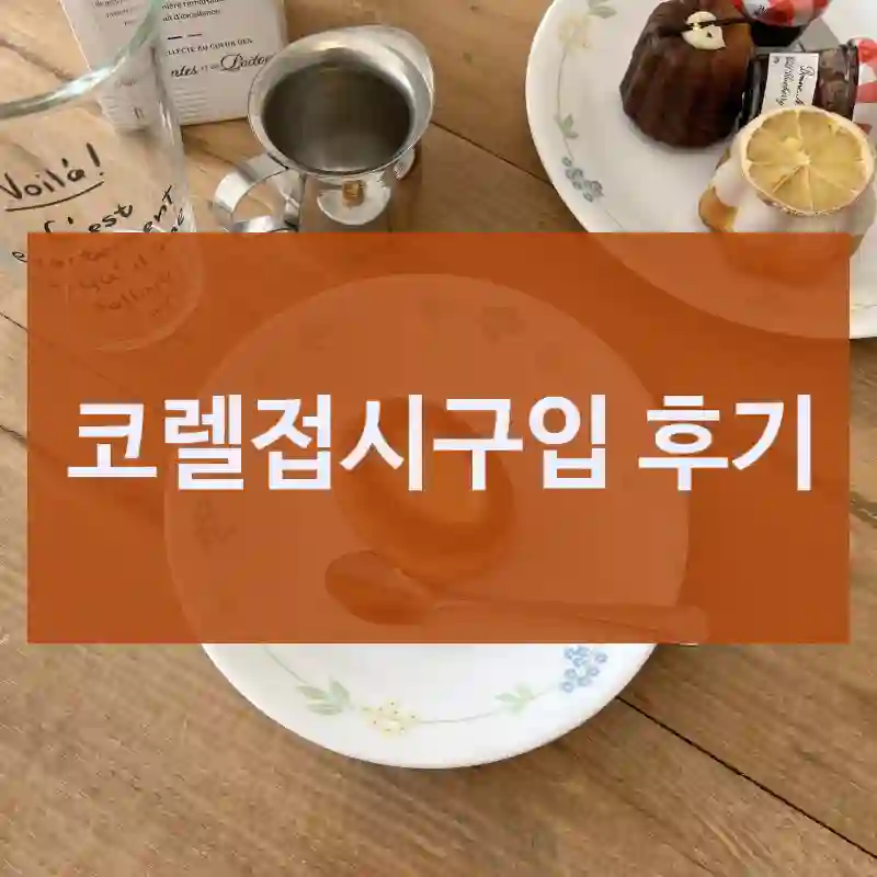 코렐 인스타에서 보고 산 “코렐접시”, 만족했을까?