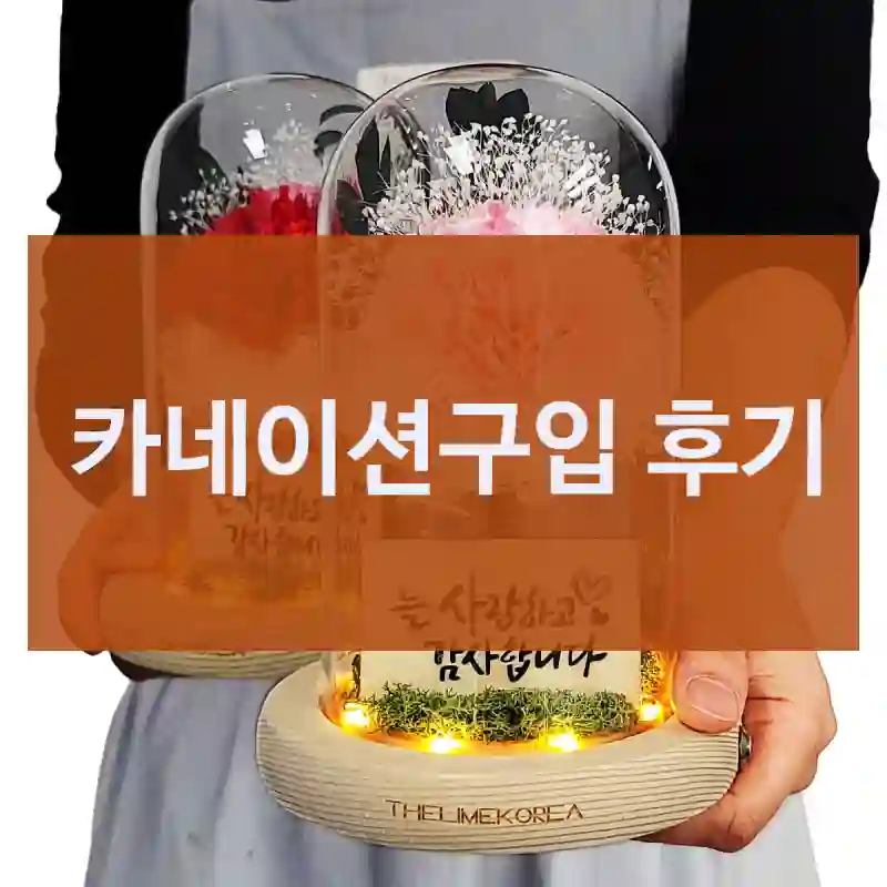 카네이션구입 후기