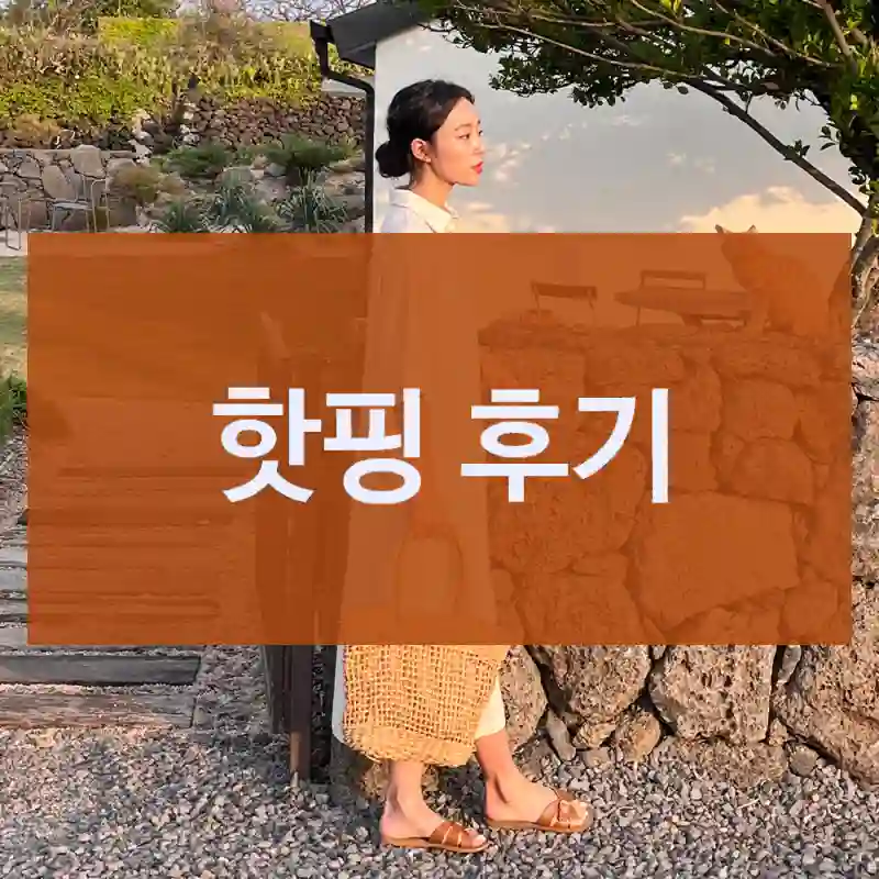 핫핑 빅사이즈여성의류 빅사이즈원피스 핫핑 리뷰