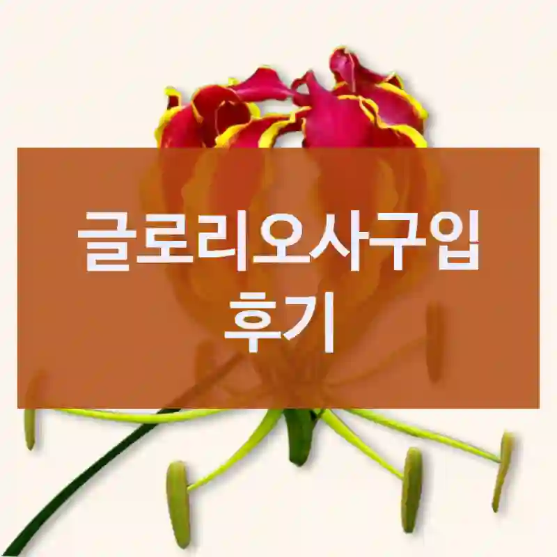 재구매 의향은? –  글로리오사