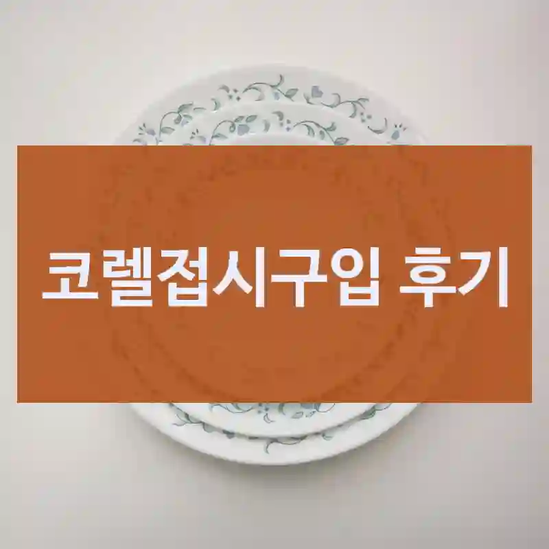 실구매자가 들려주는 코렐접시의 리얼 후기, 디자인이이쁜