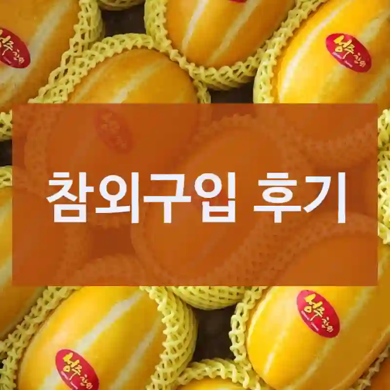 만족감 높은 “참외” 리뷰