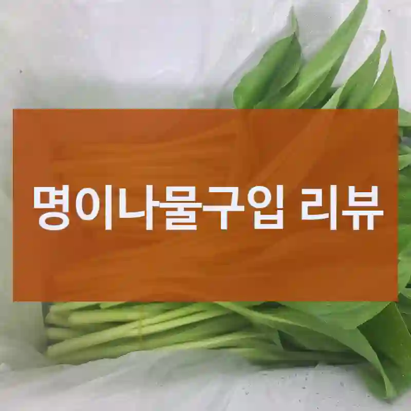 의외로 만족한 “명이나물” 리뷰