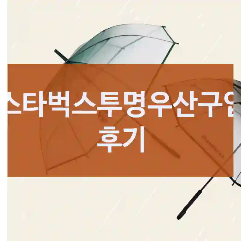스타벅스투명우산구입 후기