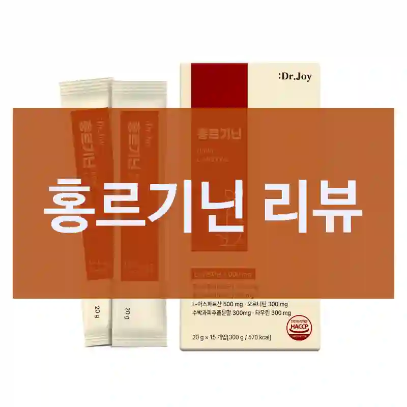 홍르기닌 리뷰