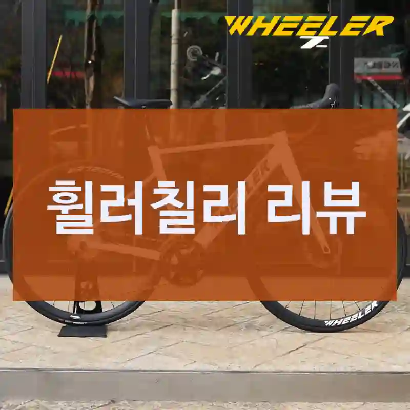 휠러칠리 리뷰