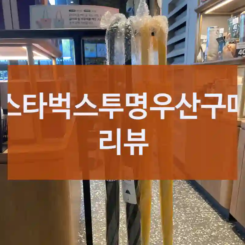 스타벅스투명우산구매 리뷰