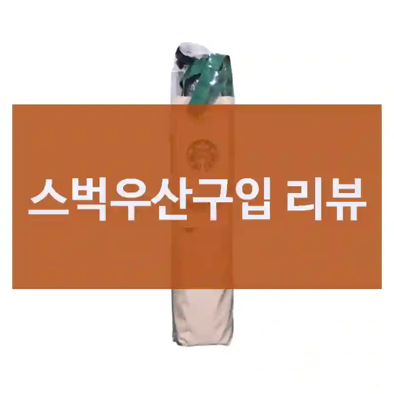 요즘 핫한 스벅우산,  만족스러울까?
