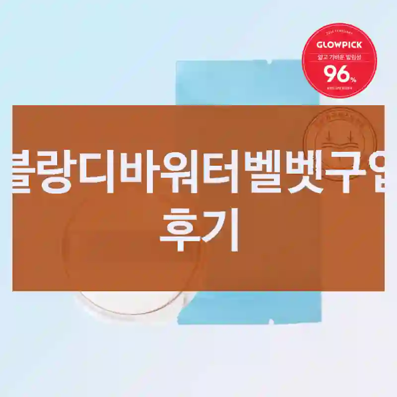 블랑디바워터벨벳구입 후기