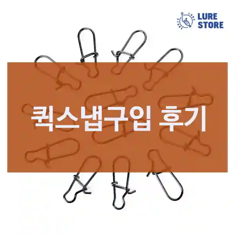 퀵스냅구입 후기