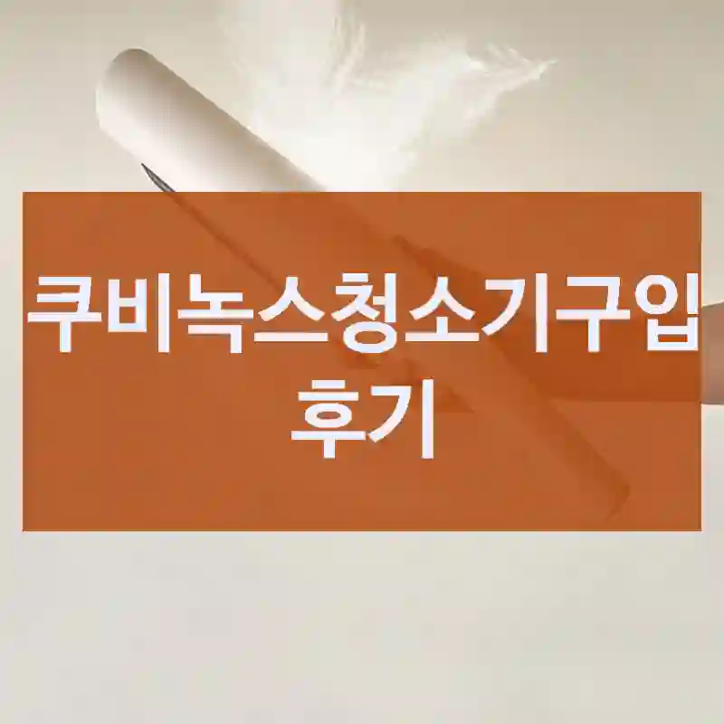 쿠비녹스청소기구입 후기