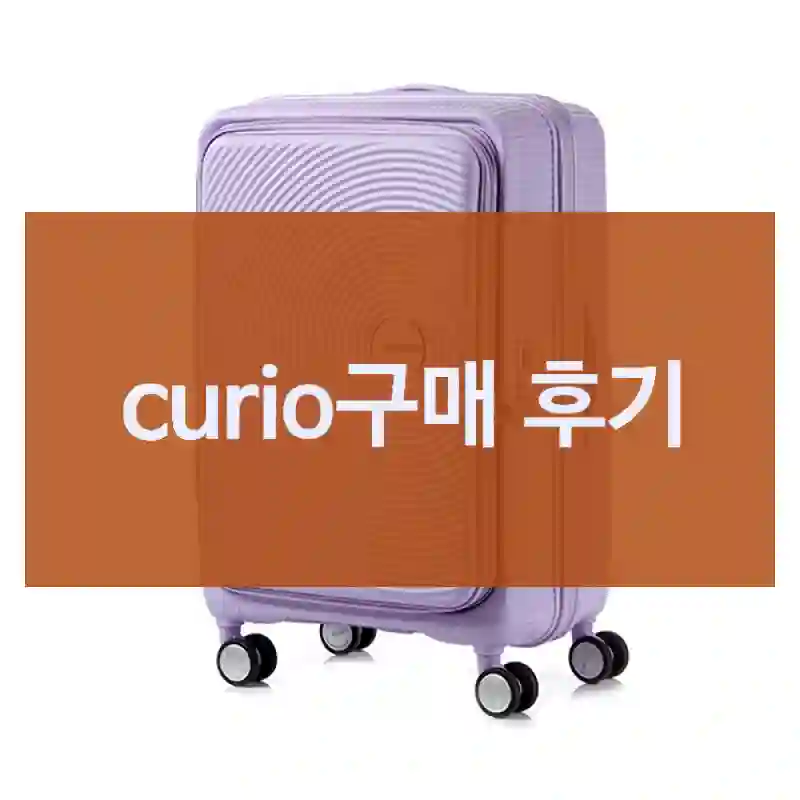 curio구매 후기