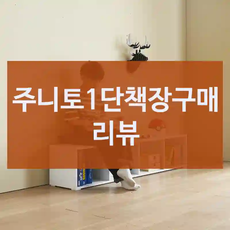 진짜 실화냐… 주니토1단책장 구매 소감-1단책장