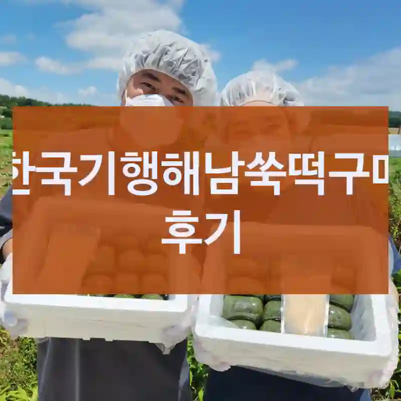 한국기행해남쑥떡구매 후기