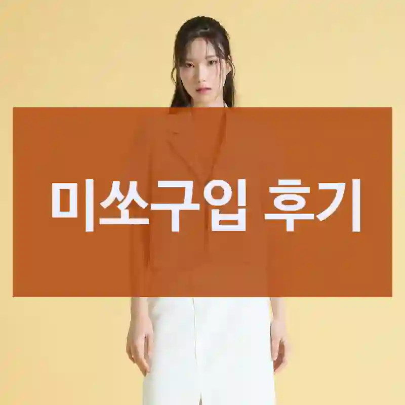 미쏘구입 후기