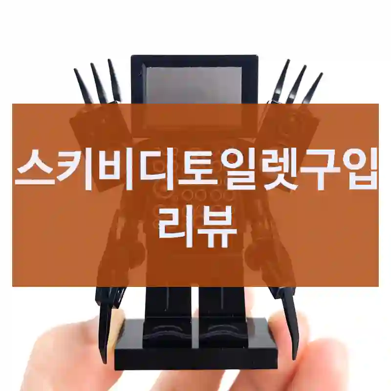 스키비디토일렛구입 리뷰