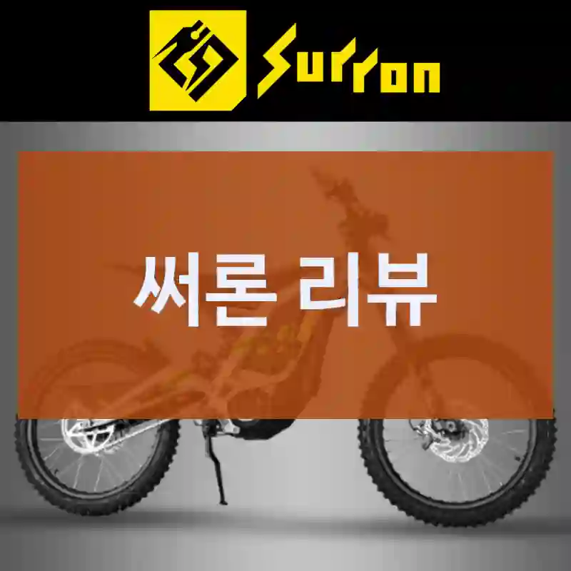 써론 리뷰