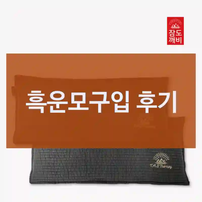 흑운모구입 후기