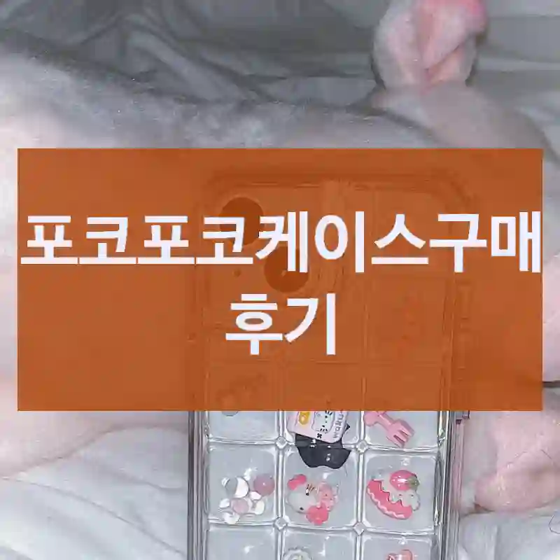 포코포코케이스구매 후기