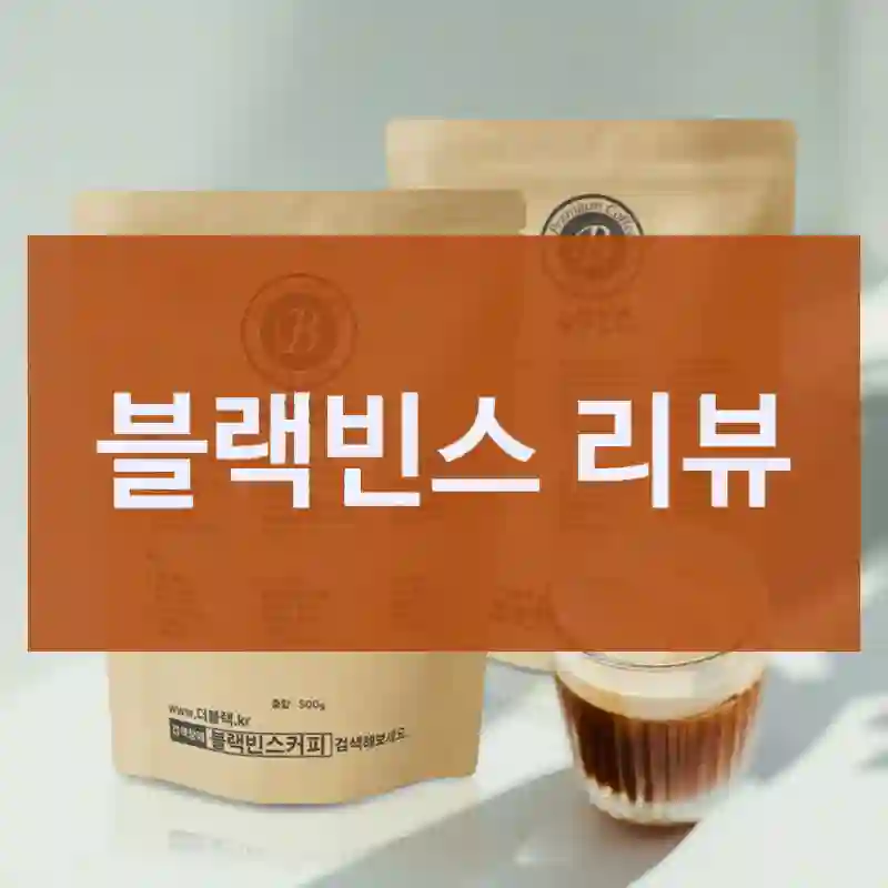 블랙빈스 리뷰