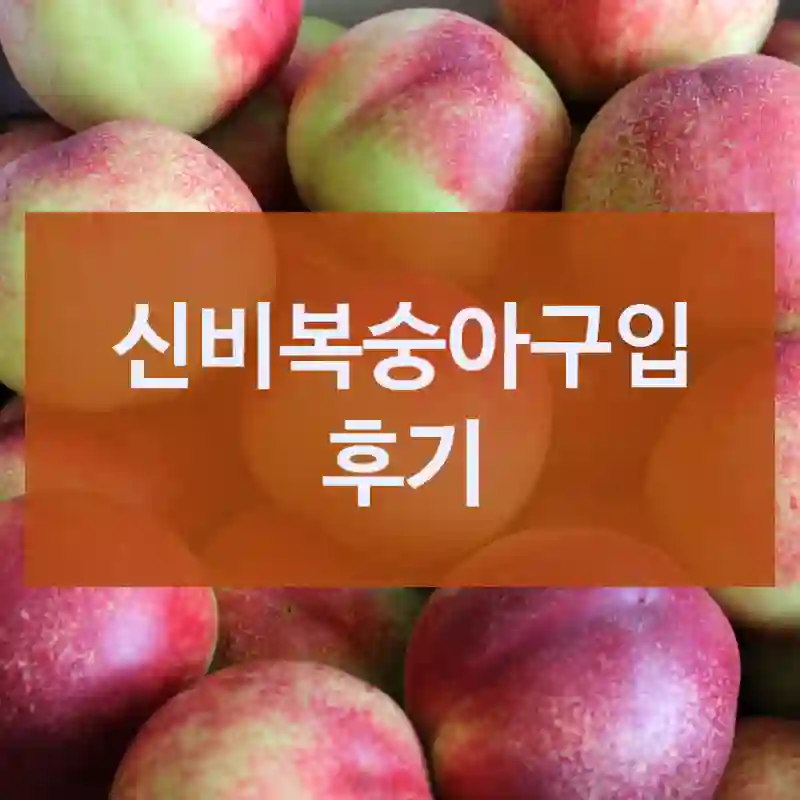 신비복숭아구입 후기