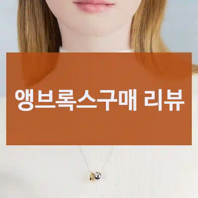 구매자 관점에서 본 “앵브록스” 후기,