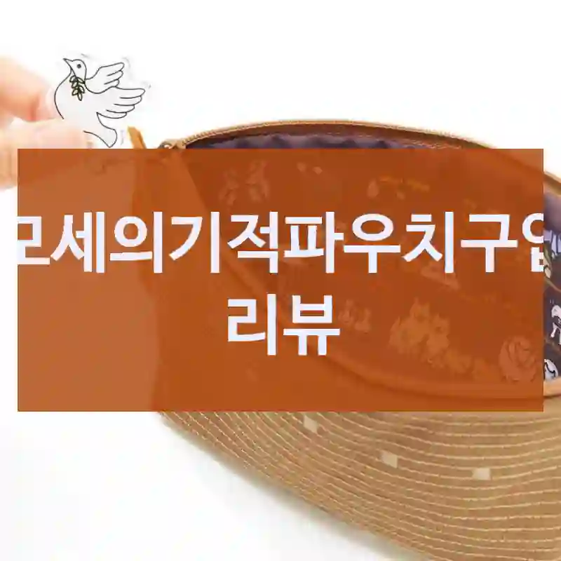 처음 사용한 임우스토어 협력사 “모세의기적파우치” 경험담