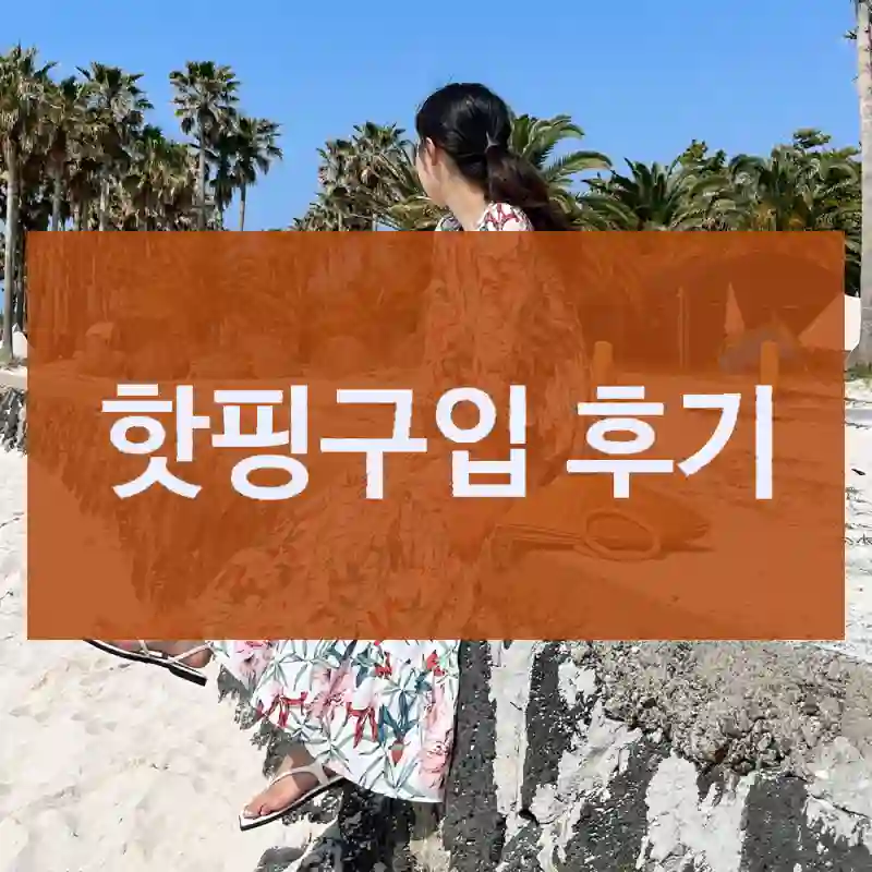 핫핑구입 후기
