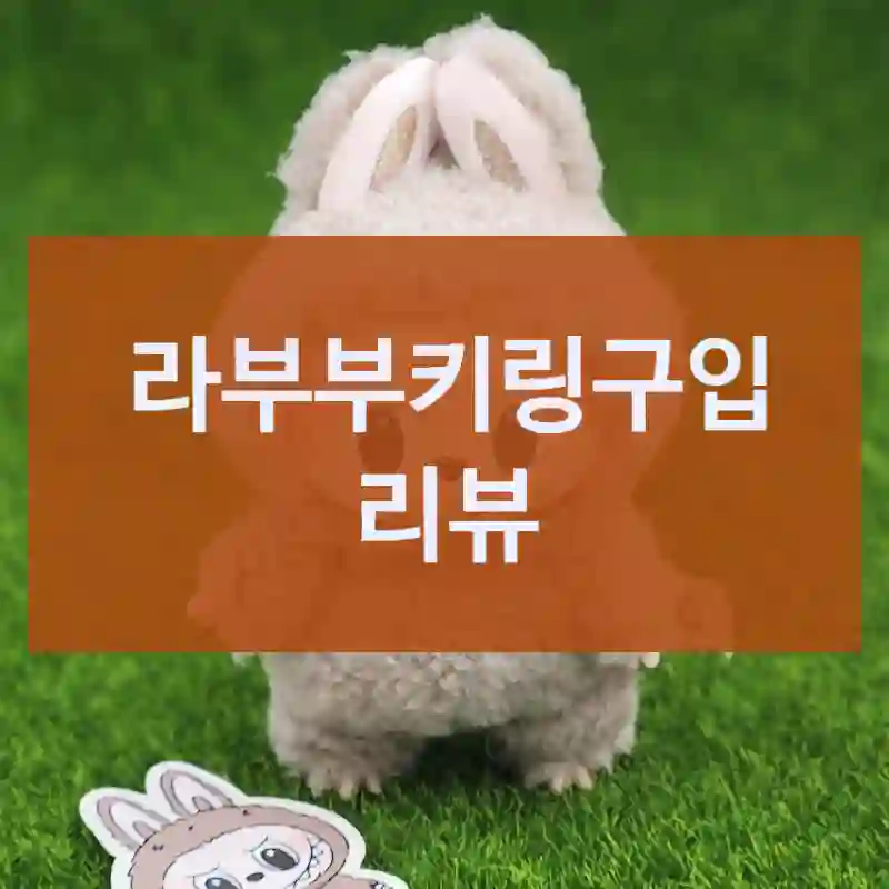 라부부키링구입 리뷰