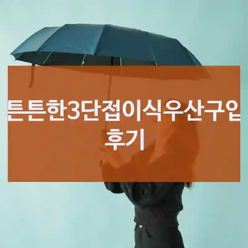 튼튼한3단접이식우산구입 후기