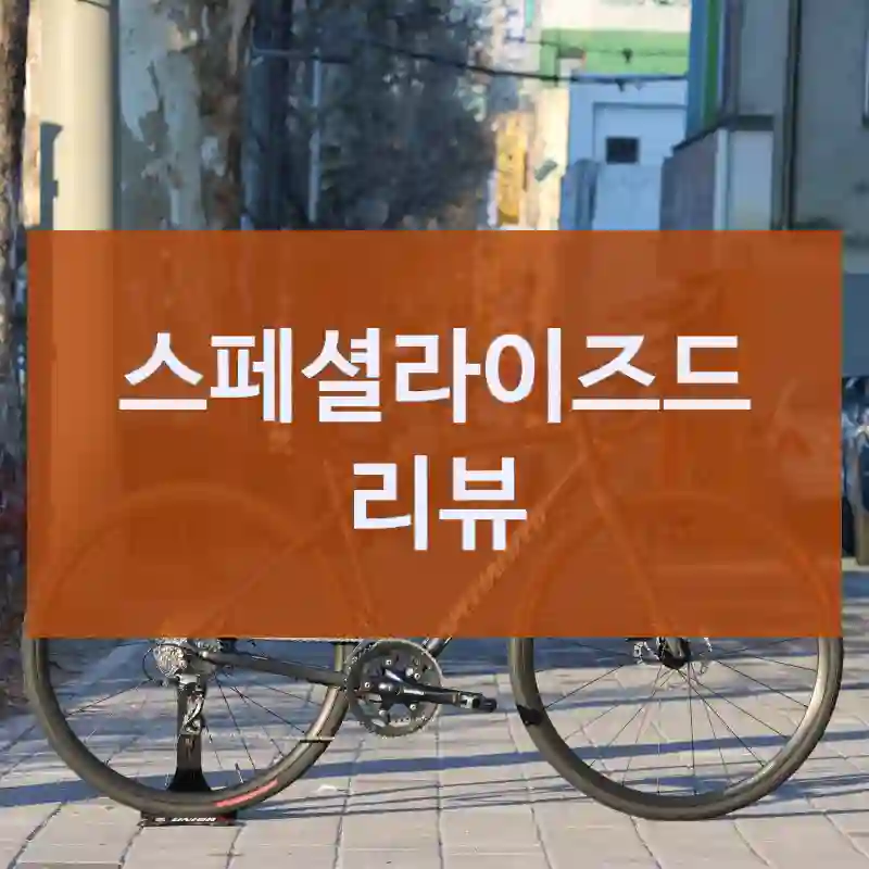 스페셜라이즈드 리뷰