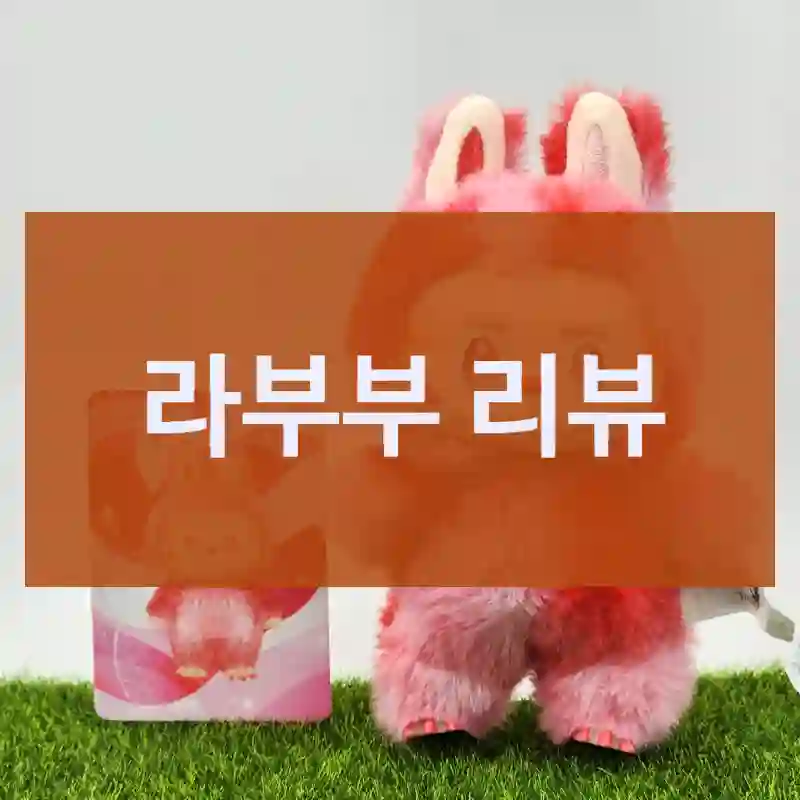 팝마트 라부부 30일 사용기, 정품