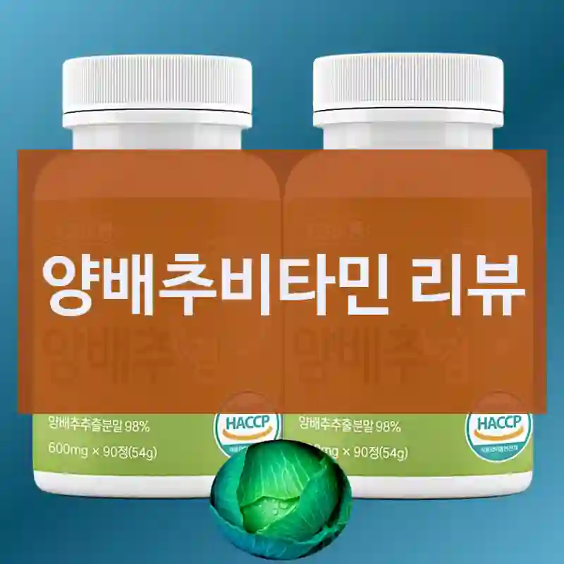 양배추비타민 리뷰