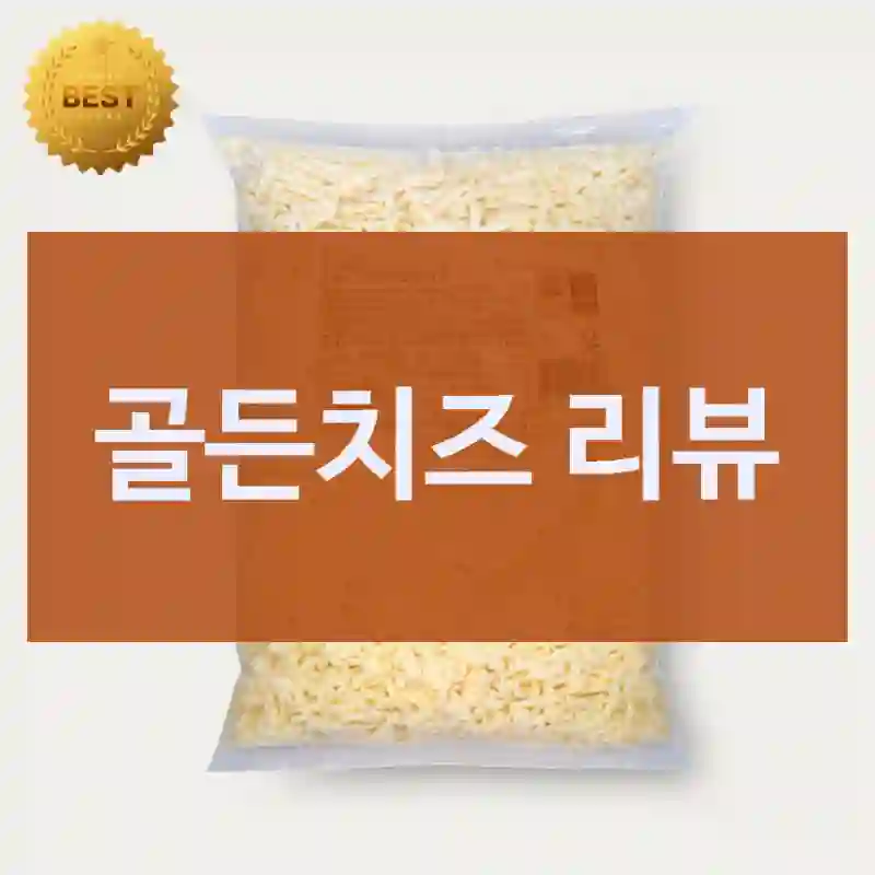 골든치즈 리뷰