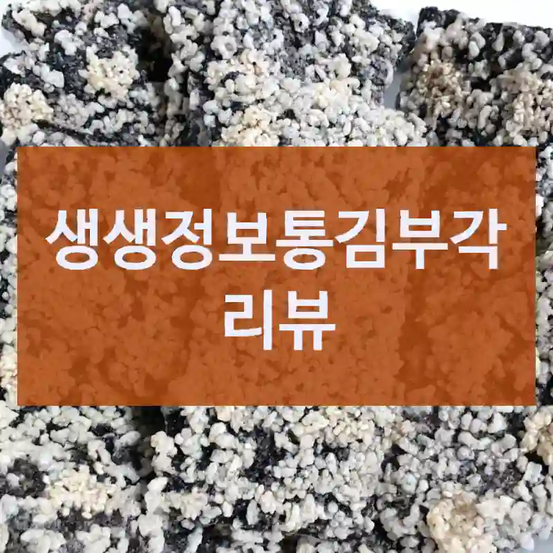 생생정보통김부각 리뷰