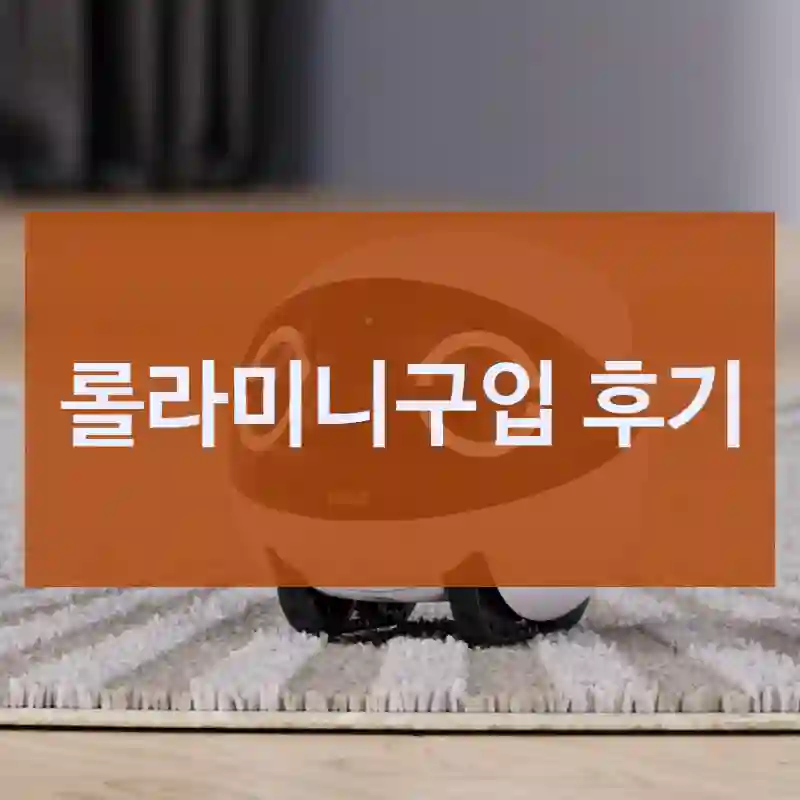 롤라미니구입 후기
