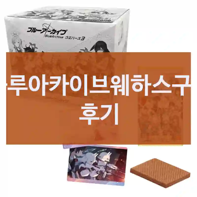 똑똑한 선택을 위한 블루아카이브웨하스 체험기
